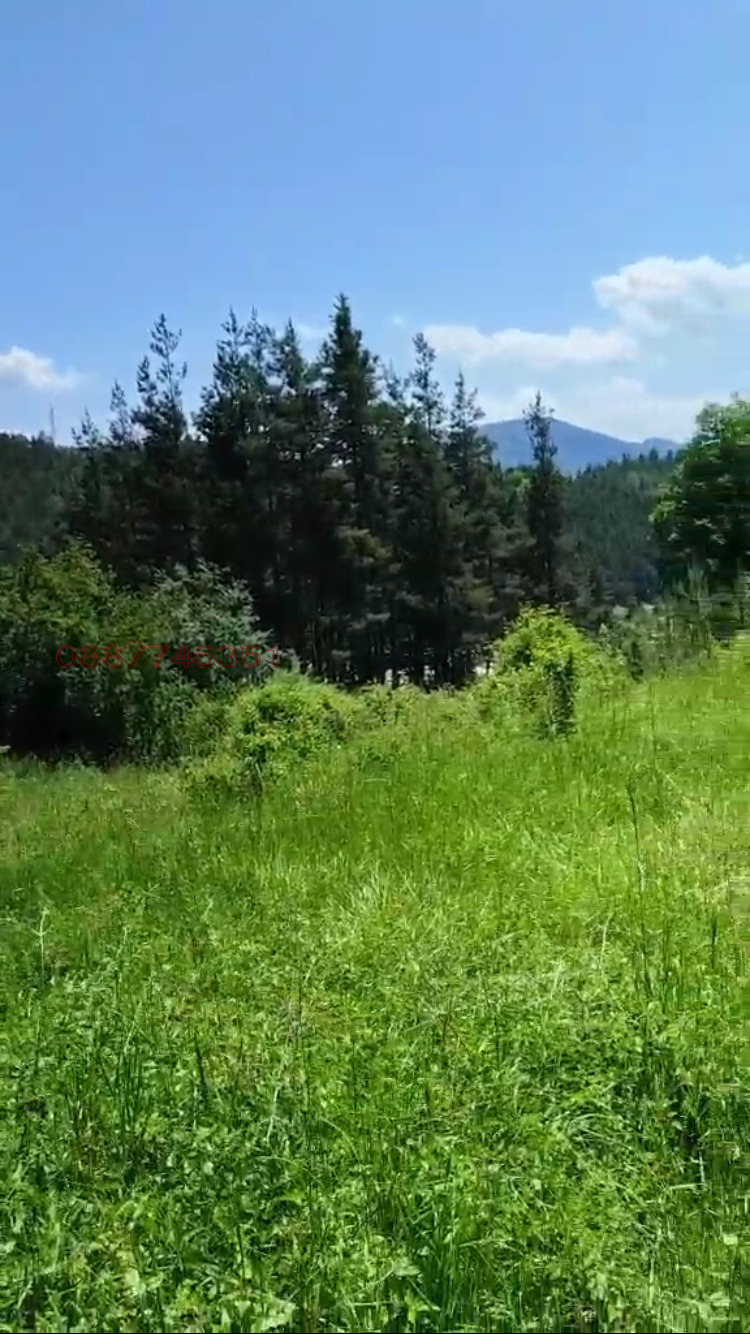 Продава ПАРЦЕЛ, гр. Смолян, Нов център, снимка 3 - Парцели - 54393226