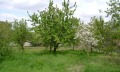 Продава КЪЩА, област Добрич, с. Ведрина • 24000 € • 53373847 — Holmes.bg
