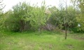 Продава КЪЩА, област Добрич, с. Ведрина • 24000 € • 53373847 — Holmes.bg