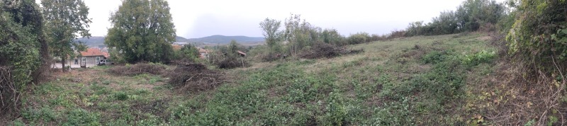 Zu verkaufen  Handlung region Weliko Tarnowo , Debelez , 2388 qm | 13682915 - Bild [5]
