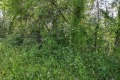 Продава ПАРЦЕЛ, с. Лесичарка, област Габрово, снимка 4
