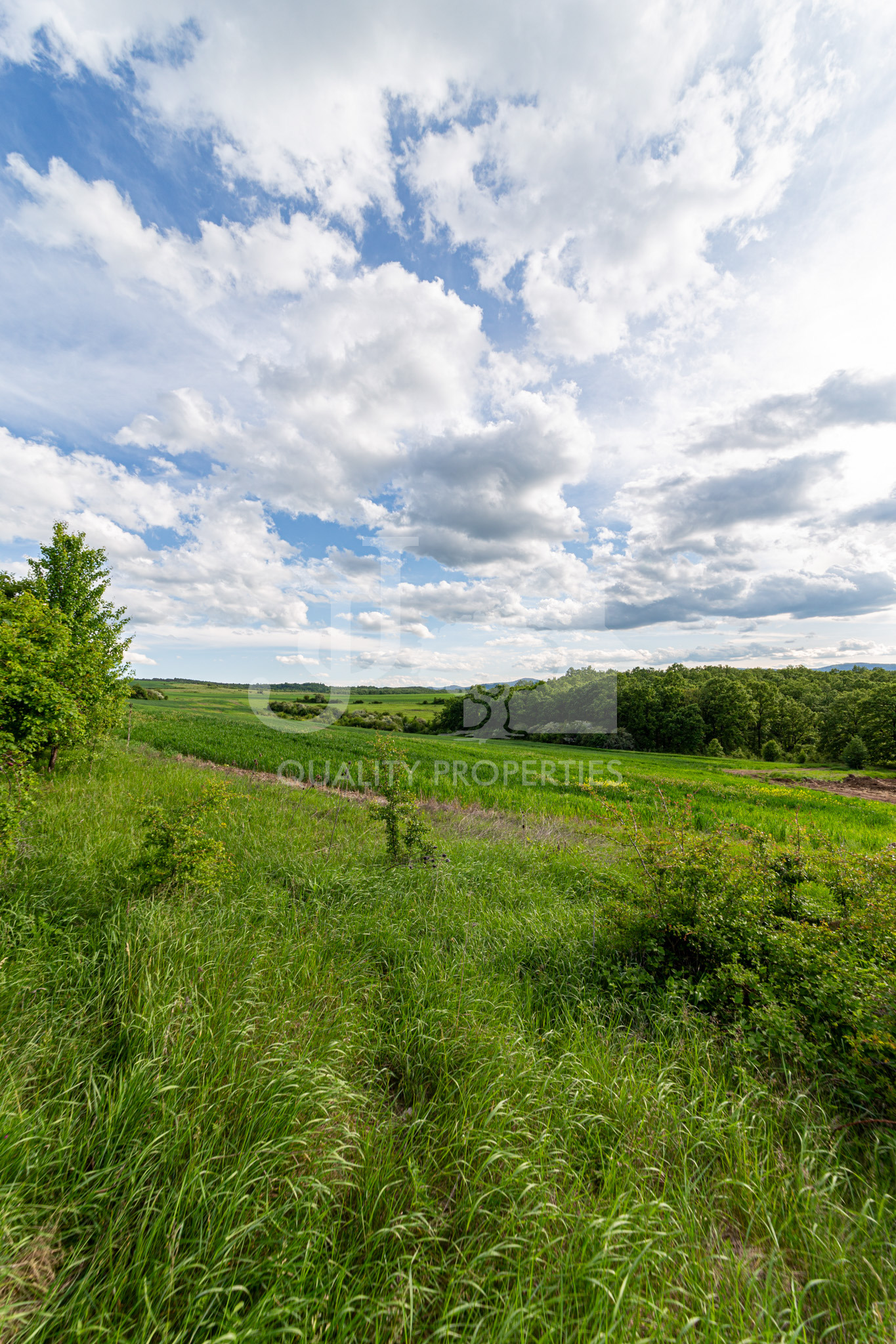 ������� ������ | Imot.bg � ����������� 1