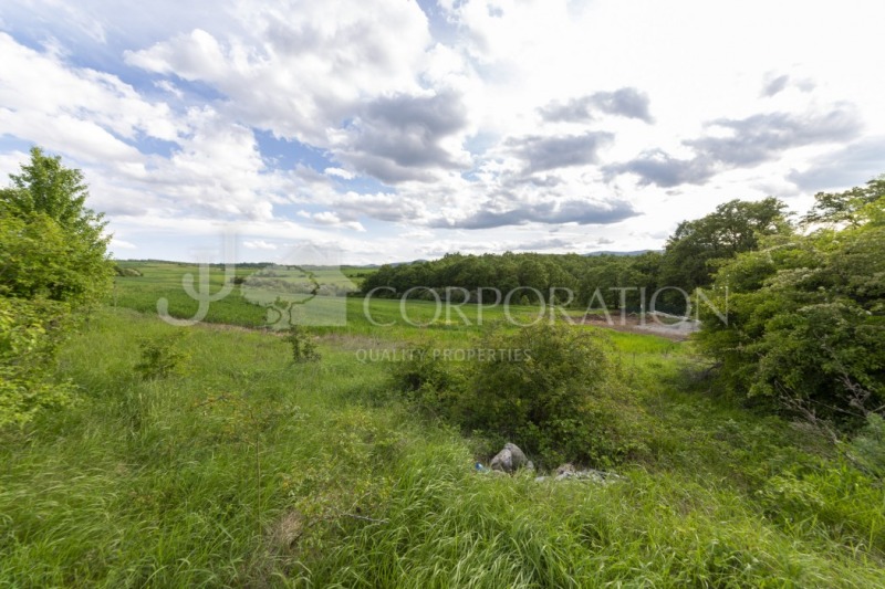 In vendita  Complotto regione Pernik , Rudartsi , 4259 mq | 36027648 - Immagine [2]