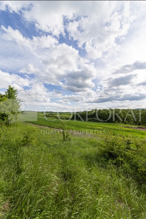 In vendita  Complotto regione Pernik , Rudartsi , 4259 mq | 36027648 - Immagine [3]