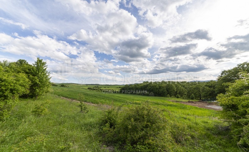 In vendita  Complotto regione Pernik , Rudartsi , 4259 mq | 36027648