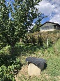 Продава КЪЩА, област Кюстендил, гр. Дупница • 41000 € • 11166947 — Holmes.bg