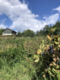 Продава КЪЩА, област Кюстендил, гр. Дупница • 41000 € • 11166947 — Holmes.bg