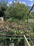 Продава КЪЩА, област Кюстендил, гр. Дупница • 41000 € • 11166947 — Holmes.bg