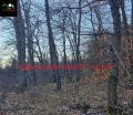 Продава  Парцел област Велико Търново , с. Арбанаси , 520 кв.м | 37426207 - изображение [13]