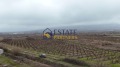 Продава  Парцел област Пловдив , с. Браниполе , 8098 кв.м | 87011187 - изображение [2]