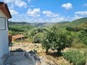 ����� ������� ������,�. �����, ������ ������