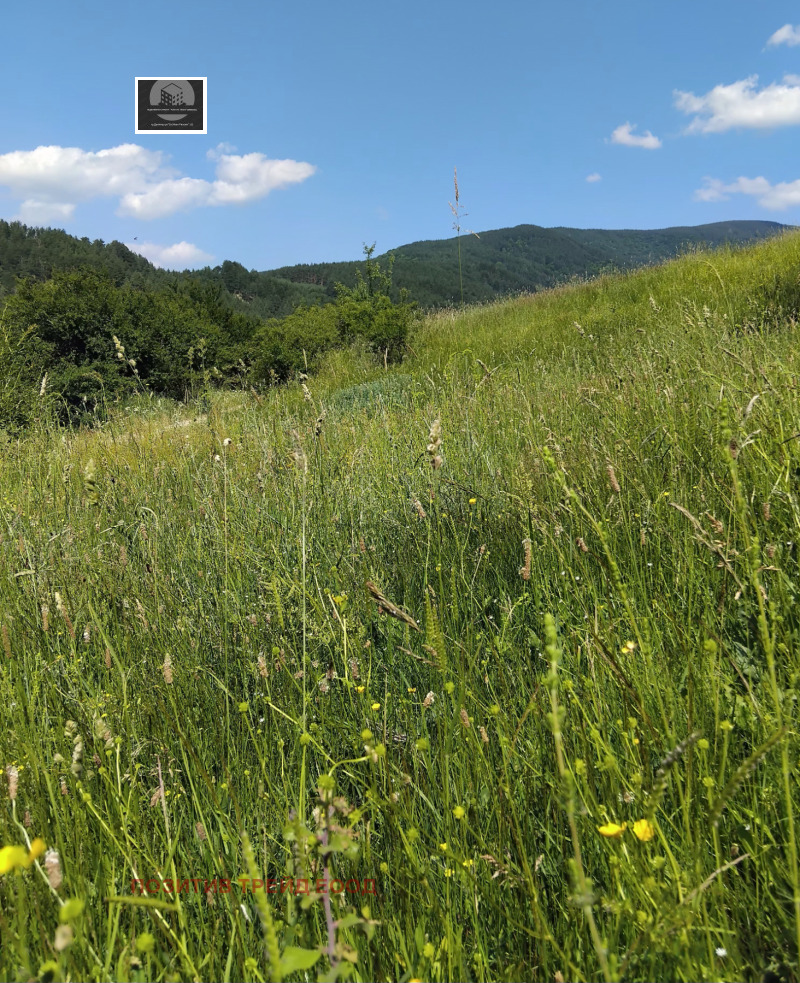 Til salgs  Plott region Kyustendil , Sapareva banja , 540 kvm | 23136216 - bilde [2]