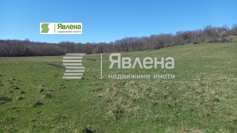 Продава ПАРЦЕЛ, с. Синеморец, област Бургас, снимка 10 - Парцели - 55138679