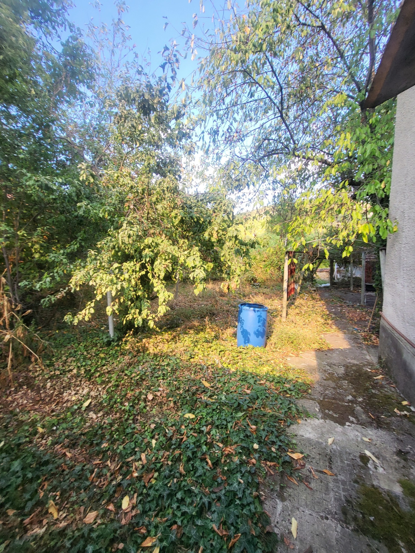 Продава КЪЩА, с. Ласкар, област Плевен, снимка 2 - Къщи - 54375740