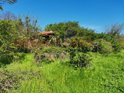 Продава КЪЩА, с. Алеково, област Силистра, снимка 3 - Къщи - 52785122