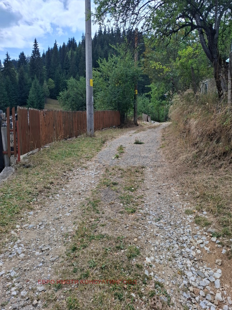 Продаја  Кућа регион Смољан , Стојките , 430 м2 | 50773069 - слика [2]