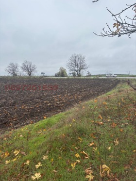 ������� ������ | Imot.bg � ����� ������ 7