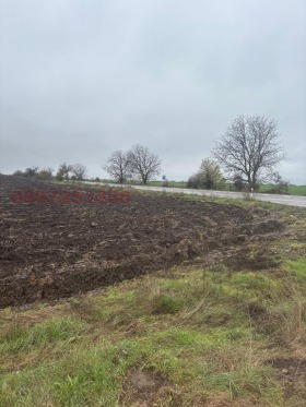 ������� ������ | Imot.bg � ����� ������ 11