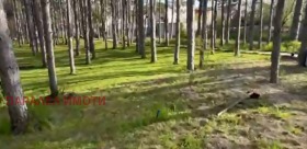 ������� ������ | Imot.bg � ����� ������ 4