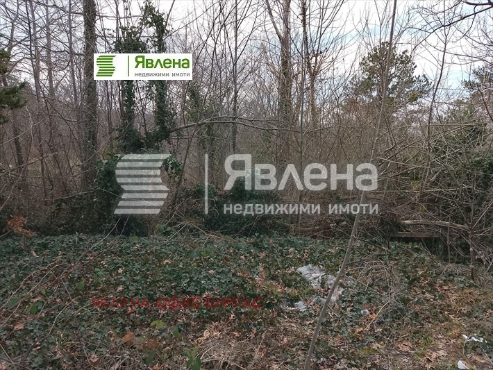 Till salu  Komplott region Burgas , Carevo , 2600 kvm | 48326437 - bild [5]