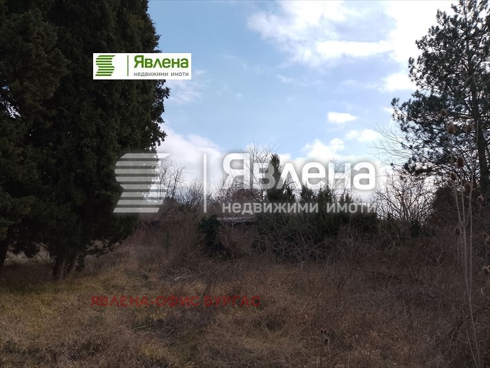 Till salu  Komplott region Burgas , Carevo , 2600 kvm | 48326437 - bild [2]