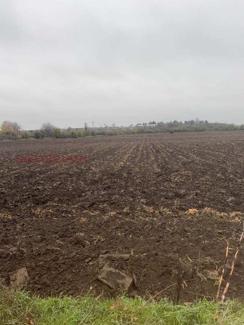 Продава ПАРЦЕЛ, гр. Сливо поле, област Русе, снимка 6 - Парцели - 52817647