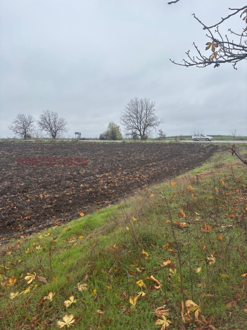 Продава ПАРЦЕЛ, гр. Сливо поле, област Русе, снимка 7 - Парцели - 52817647