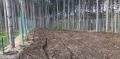 Продава ПАРЦЕЛ, гр. Варна, м-т Телевизионна кула, снимка 3