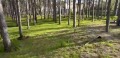 Продава ПАРЦЕЛ, гр. Варна, м-т Телевизионна кула, снимка 4