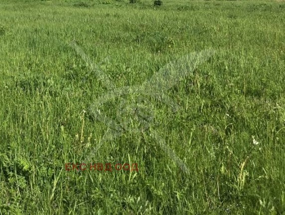À venda  Trama Plovdiv , Industrialna zona - Iug , 1668 m² | 79074415
