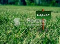 Продава  Парцел област Бургас , с. Кошарица , 592 кв.м | 37733948