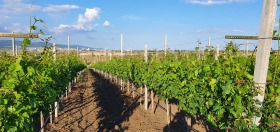 ������� ���� | Imot.bg � ����� ������ 6