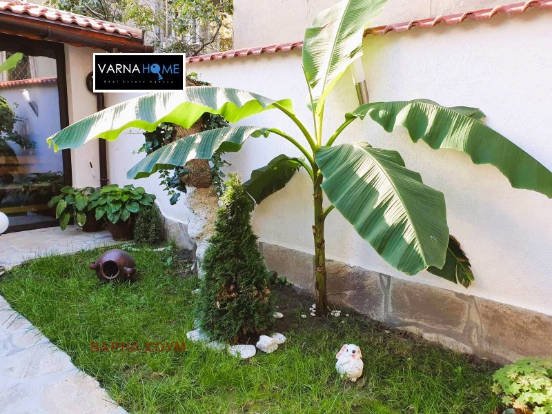 Продава МНОГОСТАЕН, гр. Варна, ВИНС-Червен площад, снимка 16 - Апартаменти - 53148021