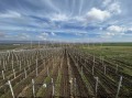 Продава  Къща област Бургас , к.к. Слънчев бряг , 185 кв.м | 63433260 - изображение [4]