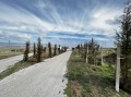 Продава  Къща област Бургас , к.к. Слънчев бряг , 185 кв.м | 63433260 - изображение [5]