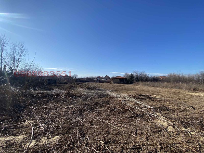 Продава ПАРЦЕЛ, с. Мало Конаре, област Пазарджик, снимка 2 - Парцели - 53489382