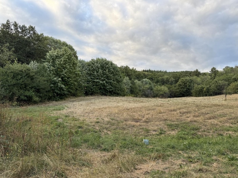 Продава ПАРЦЕЛ, с. Горна Малина, област София област, снимка 3 - Парцели - 53151240