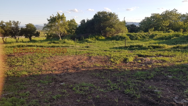 Продава БИЗНЕС ИМОТ, гр. Карлово, област Пловдив, снимка 7 - Други - 53071096