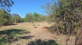 Продава КЪЩА, област Варна, гр. Вълчи дол • 69999 € • 72127879 — Holmes.bg