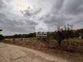 Продава ПАРЦЕЛ, област Русе, с. Николово • 84800 € • 57216750 — Holmes.bg