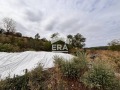 Продава ПАРЦЕЛ, област Русе, с. Николово • 84800 € • 57216750 — Holmes.bg