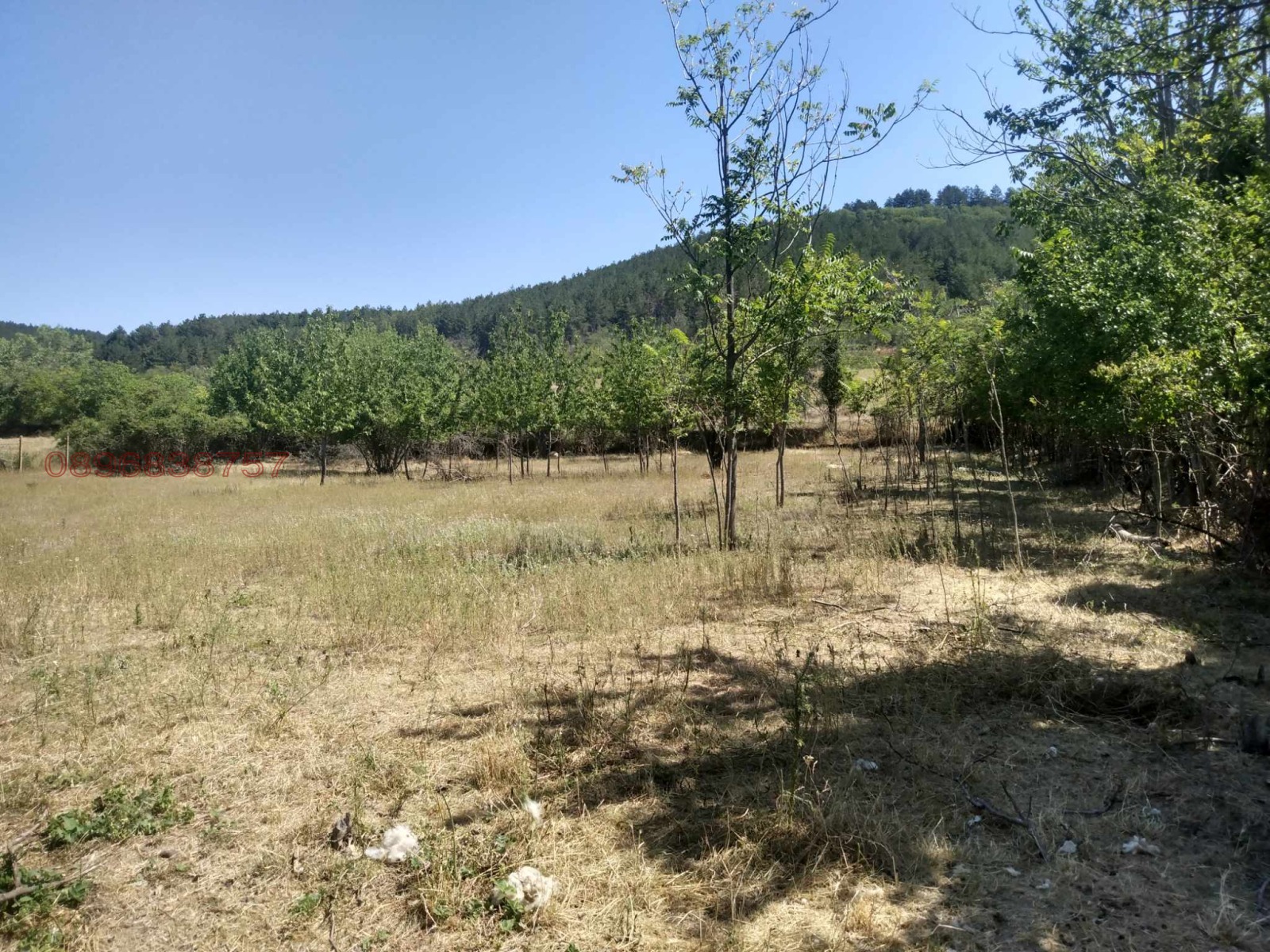 ������� ������ | Imot.bg � ����������� 2
