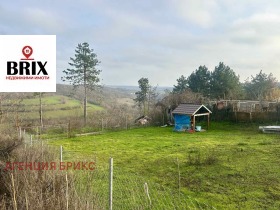 ����� ������� ������,���� ����, ��������