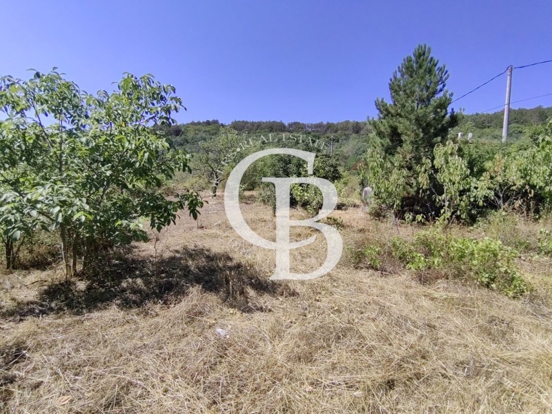 Satılık  Komplo Varna , m-t Gorna Traka , 1000 metrekare | 87003344