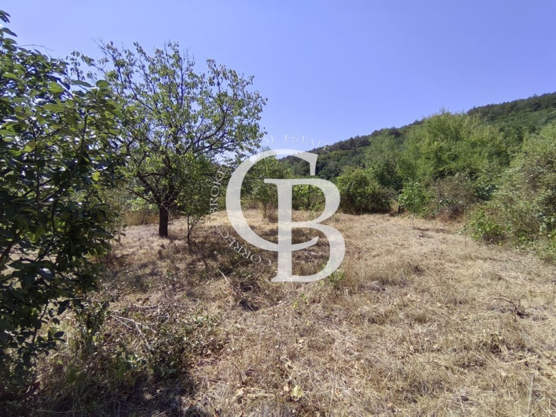Satılık  Komplo Varna , m-t Gorna Traka , 1000 metrekare | 87003344 - görüntü [3]