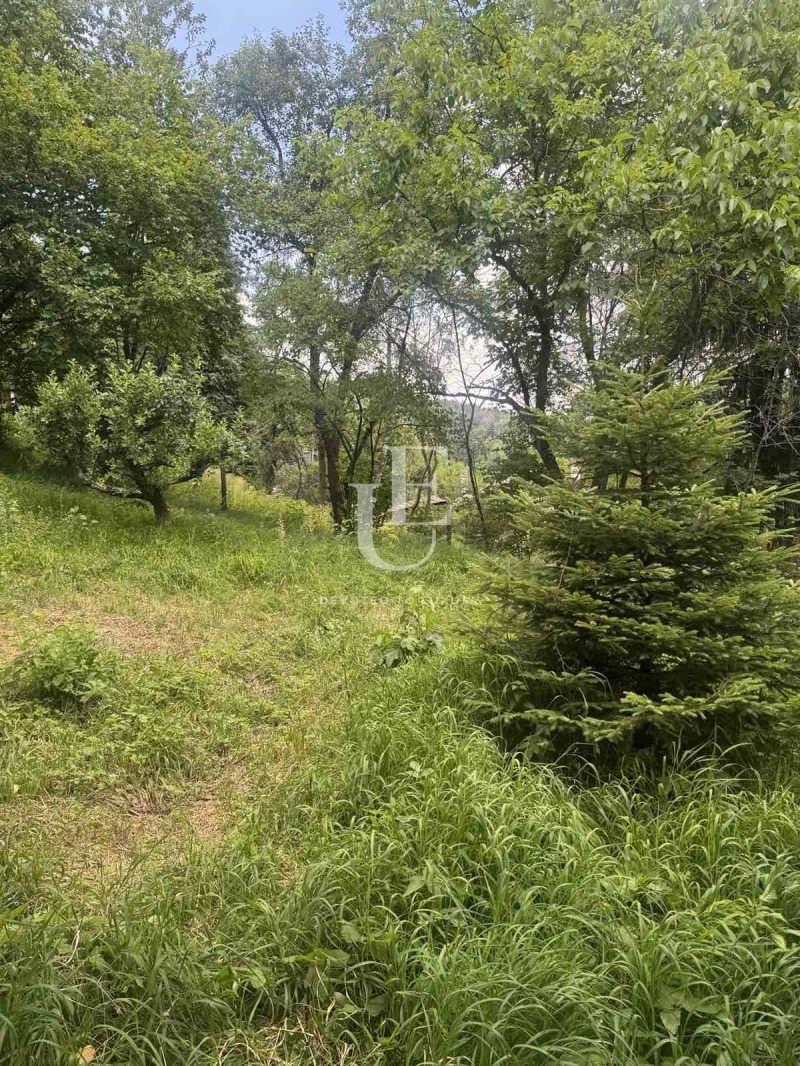 Satılık  Komplo Sofia , Bistrica , 793 metrekare | 37863595 - görüntü [4]
