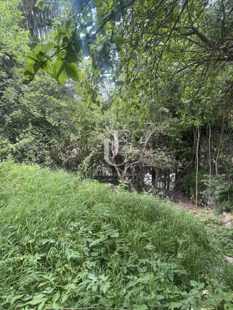Satılık  Komplo Sofia , Bistrica , 793 metrekare | 37863595 - görüntü [3]