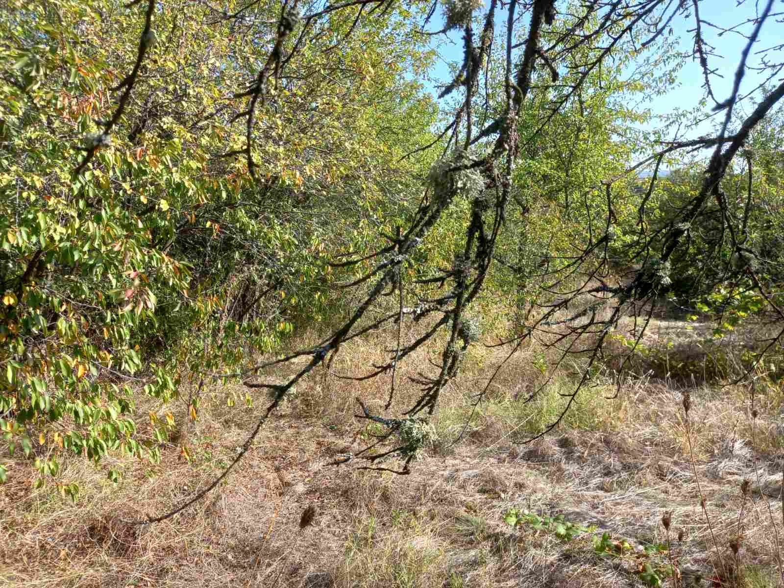 Продава ПАРЦЕЛ, с. Голяновци, област София област