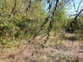 Продава ПАРЦЕЛ, с. Голяновци, област София област, снимка 1