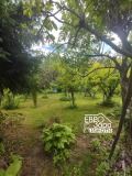 Продава КЪЩА, област Стара Загора, с. Дълбоки • 125000 € • 37480852 — Holmes.bg